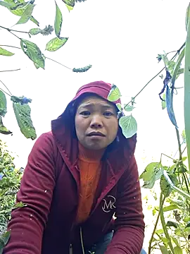 miomio-12 online show from November 29, 2025, 3:09 am