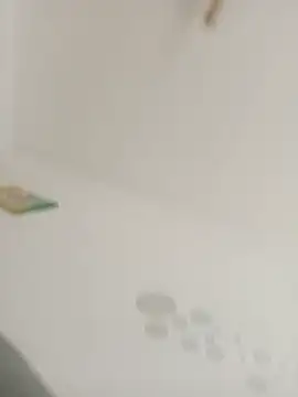 yolyyolandar online show from June 20, 2026, 9:23 am