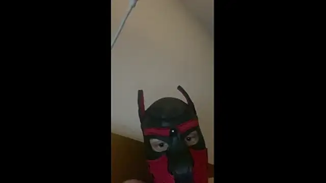 MolleDolle online show from December 20, 2025, 1:23 am