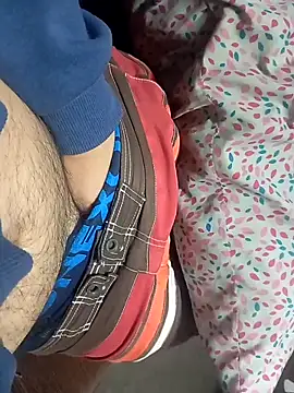 Snapshot of Alfetipies chatting on October 19, 2025, 1:39 am Alfetipies online show from October 19, 2025, 1:39 am