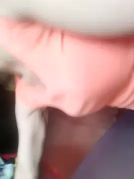 Snapshot of evenla chatting on October 17, 2025, 2:26 am evenla online show from October 17, 2025, 2:26 am