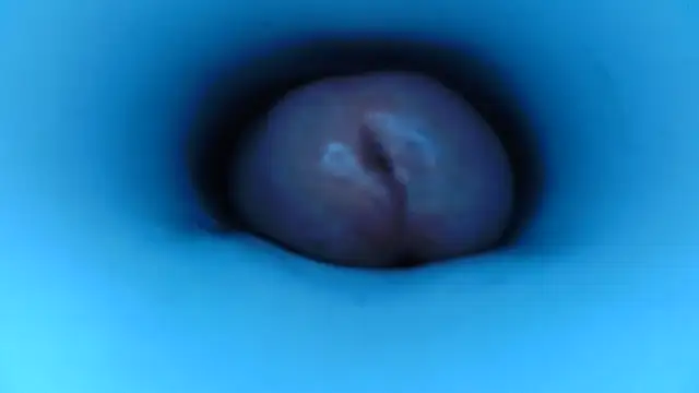 pedrolatino20cm online show from December 15, 2025, 2:21 pm