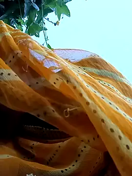 Snapshot of Cutsedi3 chatting on October 18, 2025, 11:33 am Cutsedi3 online show from October 18, 2025, 11:33 am