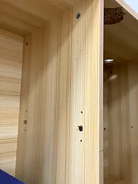 Winona88 online show from November 6, 2025, 8:59 am