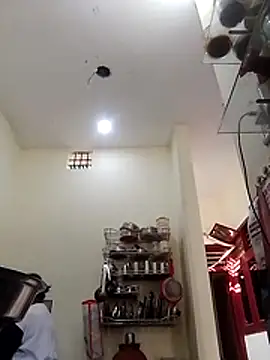 Honey-26 online show from November 26, 2025, 7:31 am