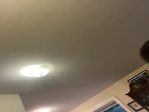 custardnmypie online show from November 10, 2025, 12:09 am