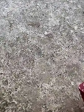 play boy-raj007 online show from November 2, 2025, 10:17 am