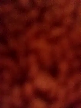 Su symeo online show from October 29, 2025, 9:11 am