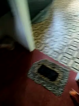 Shanudri77 online show from November 5, 2025, 5:40 am