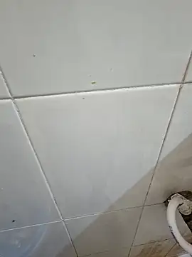 Snapshot of crawlerdrill chatting on February 12, 2026, 2:50 am crawlerdrill online show from February 12, 2026, 2:50 am