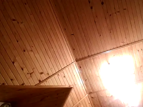 tibci12789 online show from December 5, 2025, 7:54 pm