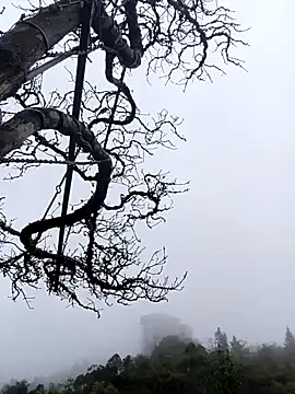 Snapshot of siusiu-00 chatting on November 1, 2025, 1:07 am siusiu-00 online show from November 1, 2025, 1:07 am