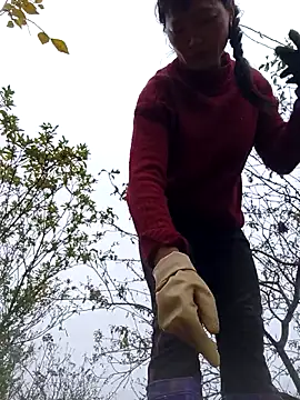 siusiu-00 online show from November 12, 2025, 9:10 am