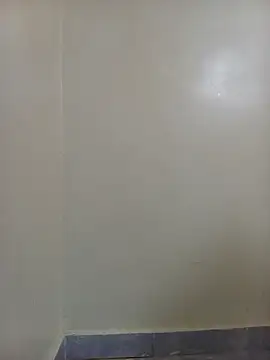 Sugarhills online show from November 4, 2025, 9:41 am