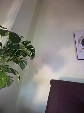 NovaFoxx online show from February 15, 2026, 1:52 pm