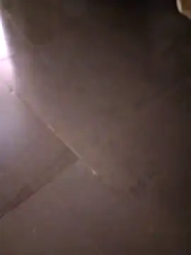 svk 05 online show from October 14, 2025, 11:22 am