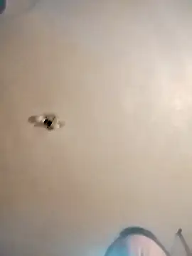 james81mzmga online show from November 15, 2025, 8:11 am