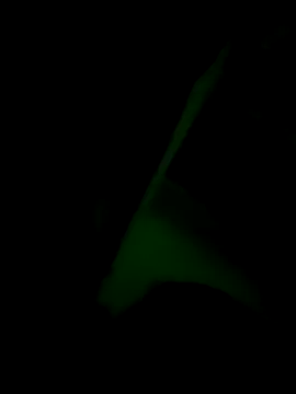 Homa7070 online show from October 27, 2025, 7:45 am