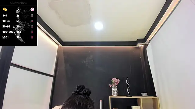 MelodySnow online show from November 4, 2025, 8:30 pm