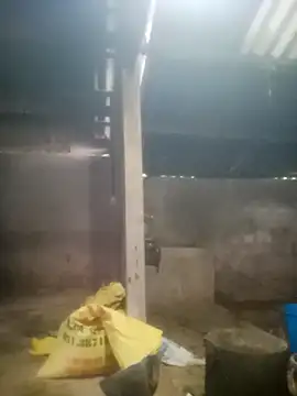 Myzak- online show from October 18, 2025, 11:38 pm