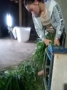 Myzak- online show from February 12, 2026, 11:55 pm