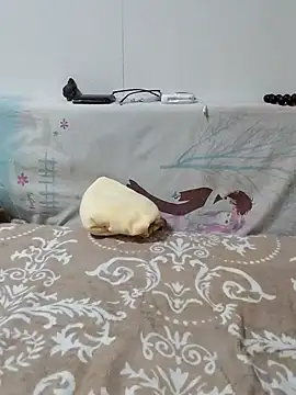 caige8888 online show from November 17, 2025, 11:05 am