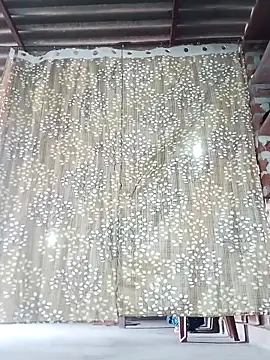 Rajni chauhan online show from November 15, 2025, 6:55 am