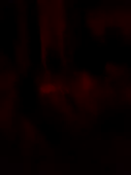 goloso80 online show from May 22, 2026, 2:51 am