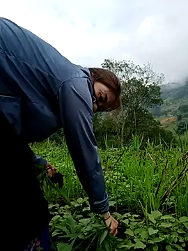 Snapshot of omai-ngot chatting on October 26, 2025, 1:22 am omai-ngot online show from October 26, 2025, 1:22 am