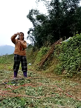 omai-ngot online show from November 17, 2025, 2:17 am