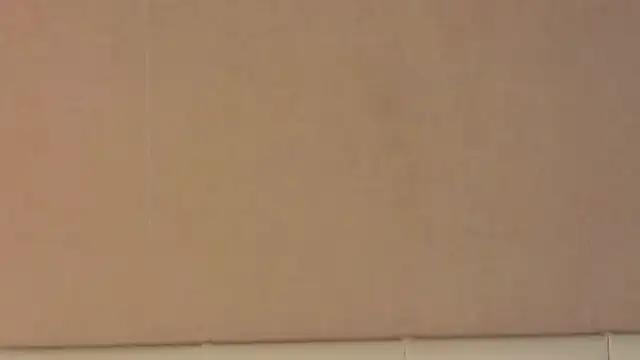 Snapshot of IzieCarter chatting on December 21, 2025, 8:38 pm IzieCarter online show from December 21, 2025, 8:38 pm