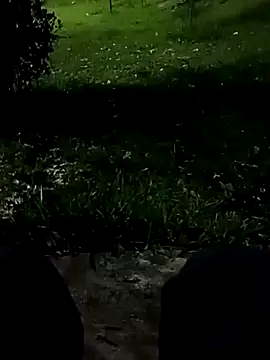 roludao fun online show from November 10, 2025, 10:42 pm