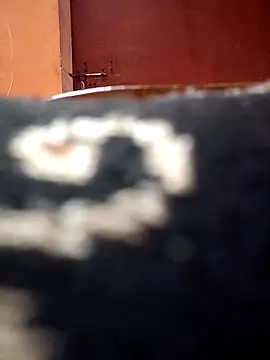 Snapshot of Sweetcpl01 chatting on November 11, 2025, 3:56 pm Sweetcpl01 online show from November 11, 2025, 3:56 pm