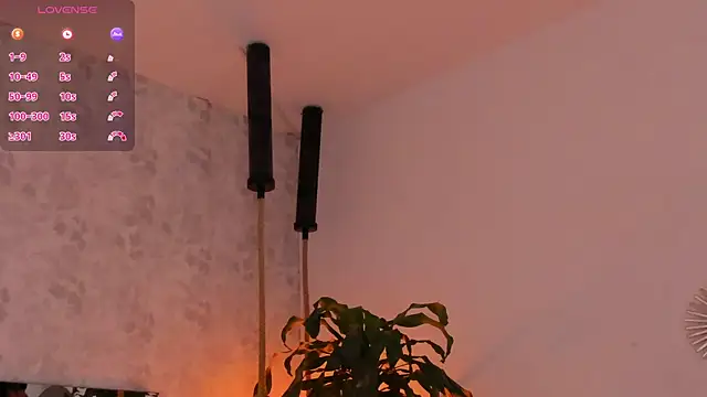 david lux online show from October 29, 2025, 1:02 pm