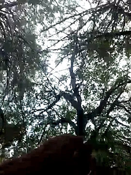 Labellasex online show from December 20, 2025, 7:10 pm