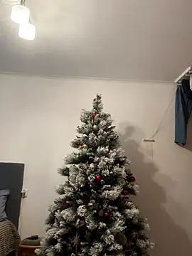 Amelia-Diamond online show from December 15, 2025, 10:41 am