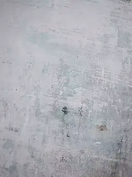 thanuja- online show from October 23, 2025, 10:14 am