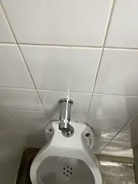 novinhosglbi online show from November 4, 2025, 12:21 am