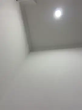 violeta365 online show from April 11, 2026, 3:00 am