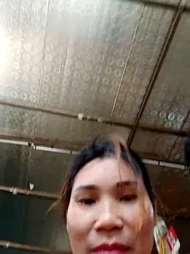 Bear bear0 online show from October 24, 2025, 12:41 am