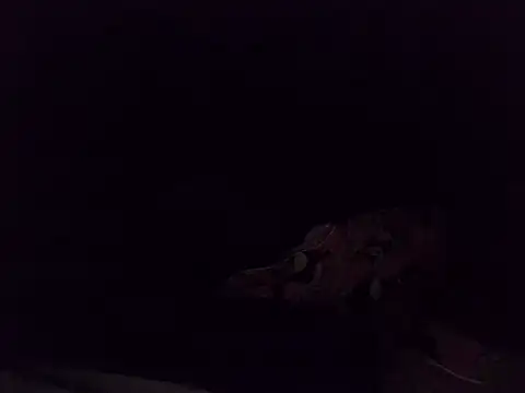 Snapshot of boldiva89 chatting on October 25, 2025, 1:35 am boldiva89 online show from October 25, 2025, 1:35 am