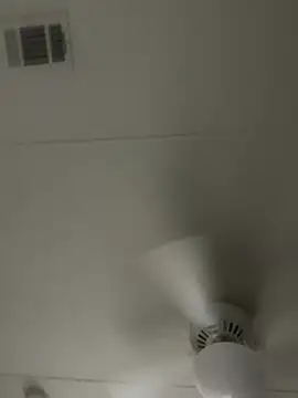 Snapshot of D13ON3L chatting on November 8, 2025, 8:03 am D13ON3L online show from November 8, 2025, 8:03 am