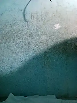 naveen 3222 online show from December 5, 2025, 7:06 am