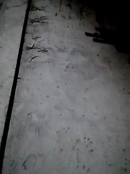 rickkis2k online show from December 13, 2025, 9:53 pm