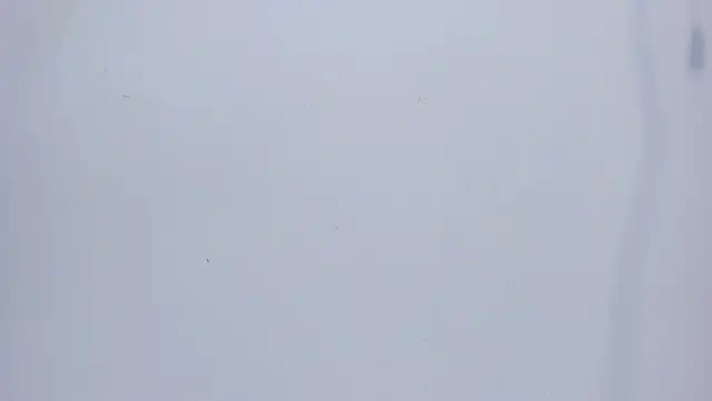 mirandaduboiss online show from April 13, 2026, 5:07 pm