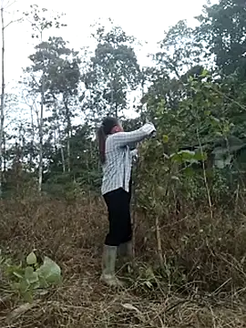 Snapshot of zinzin-xx chatting on October 27, 2025, 2:37 am zinzin-xx online show from October 27, 2025, 2:37 am