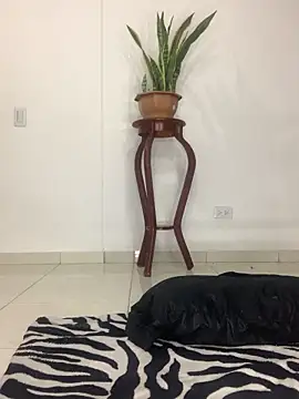 MARIANAGATE online show from November 12, 2025, 3:40 am