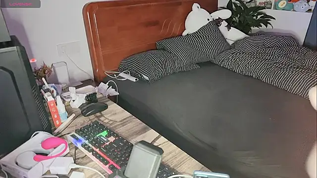 xiner-6666 online show from October 26, 2025, 2:34 pm