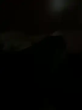 PassionCoupleLove online show from October 26, 2025, 1:06 pm