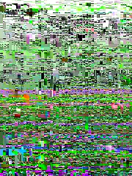 perfectguy4u online show from October 28, 2025, 8:55 pm